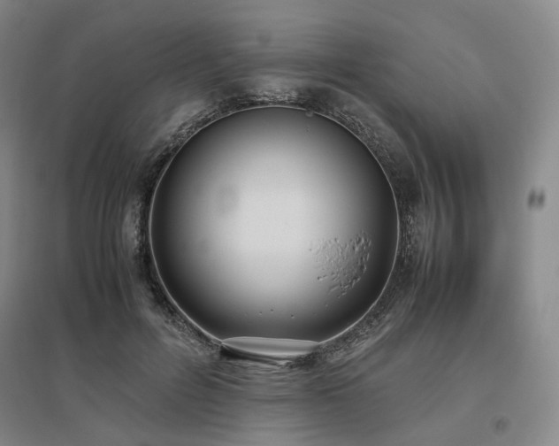 X0000095910600200801111233