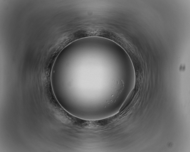 X0000095910601200801111233