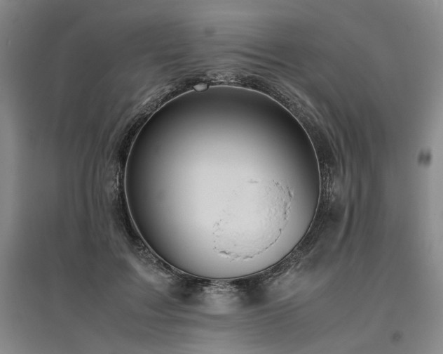 X0000095910603200801111233