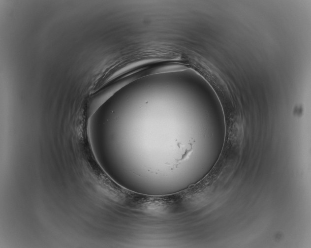 X0000095910604200801111233