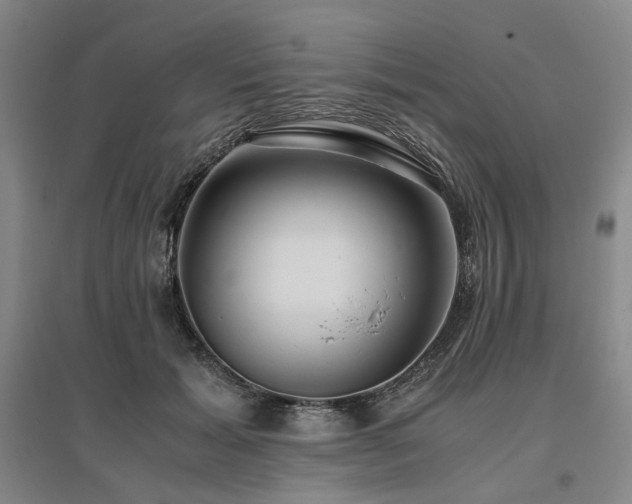 X0000095910605200801111233