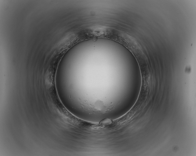 X0000095910606200801111233