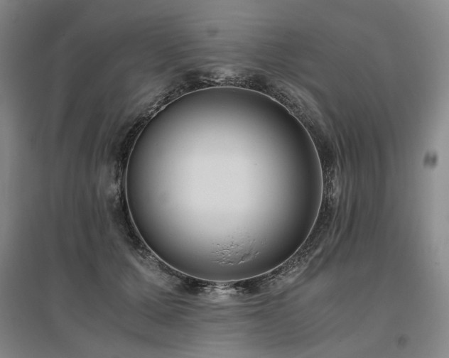 X0000095910607200801111233
