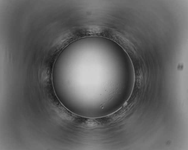 X0000095910608200801111233