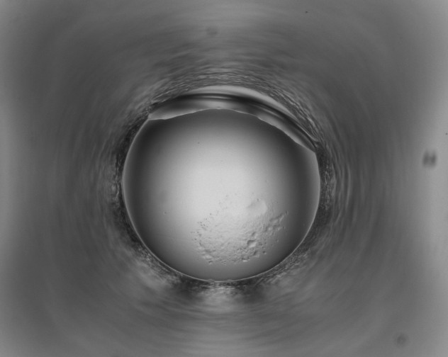 X0000095910609200801111233