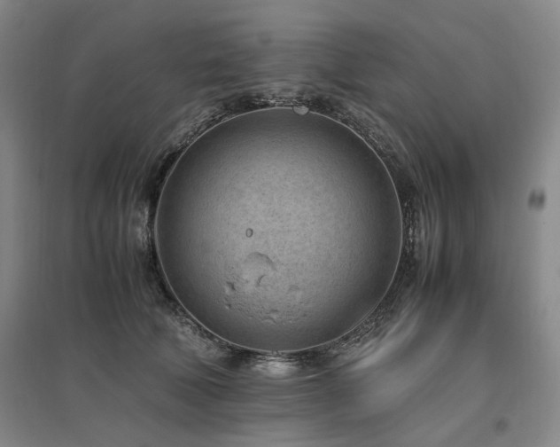 X0000095910610200801111233