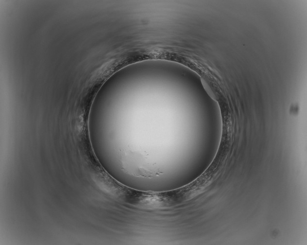 X0000095910611200801111233