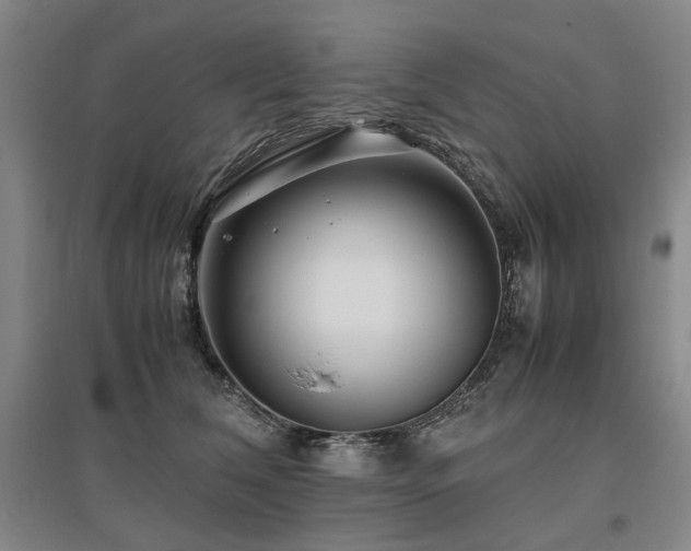 X0000095910612200801111233