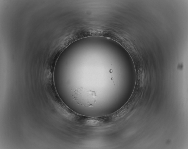 X0000095910614200801111233