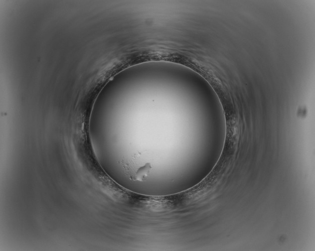 X0000095910615200801111233