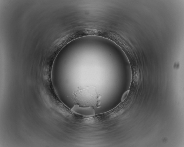 X0000095910616200801111233