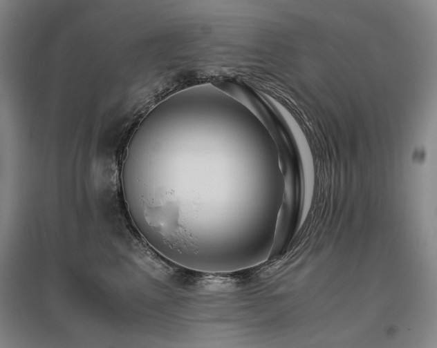 X0000095910617200801111233