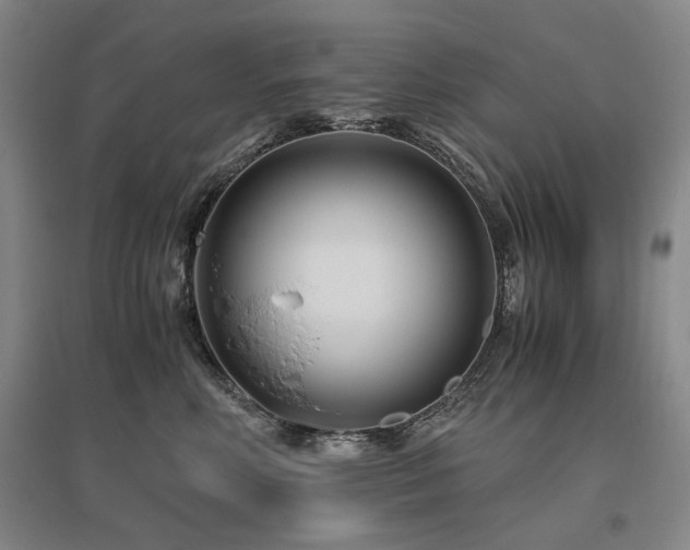 X0000095910618200801111233