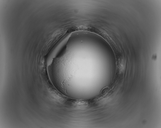 X0000095910619200801111233