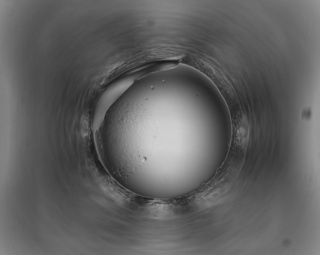 X0000095910620200801111233