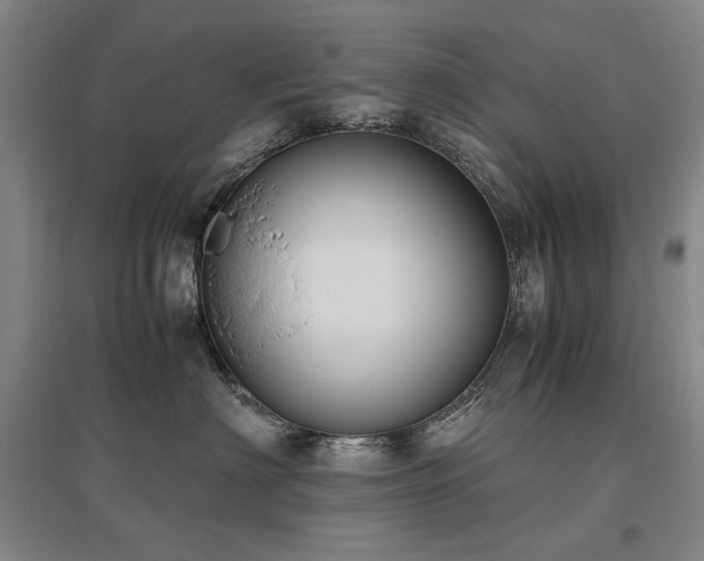 X0000095910622200801111233