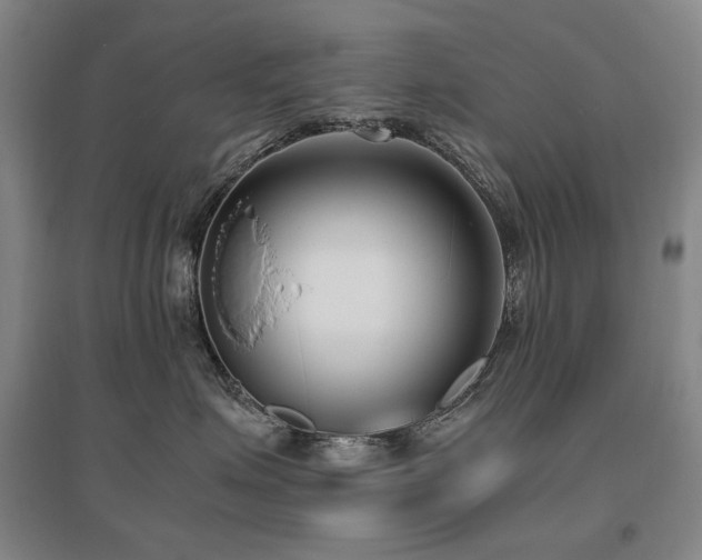 X0000095910623200801111233