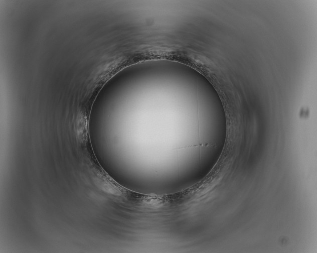 X0000095910624200801111233