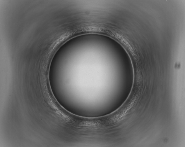 X0000095910625200801111232