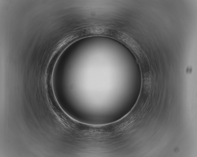 X0000095910626200801111232