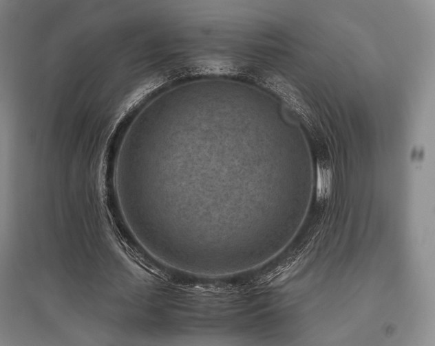 X0000095910627200801111233