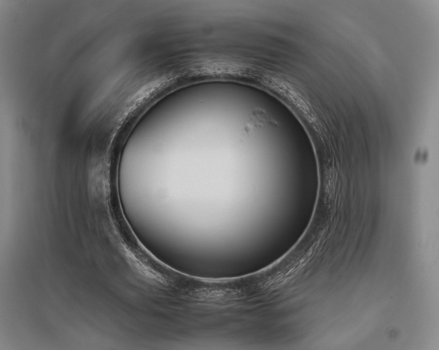 X0000095910629200801111233
