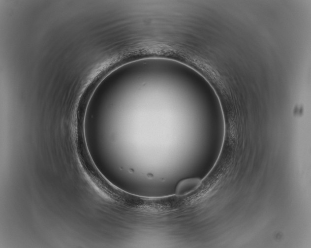 X0000095910630200801111233