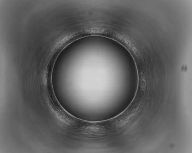 X0000095910631200801111233