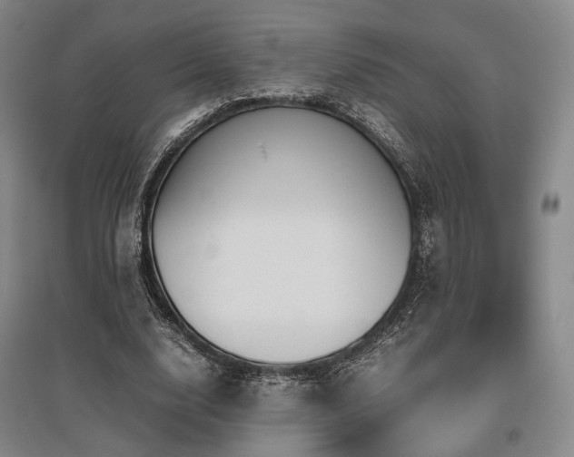 X0000095910632200801111233