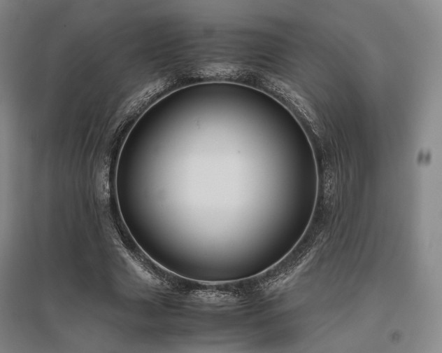 X0000095910633200801111233