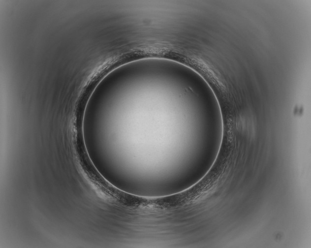 X0000095910634200801111233