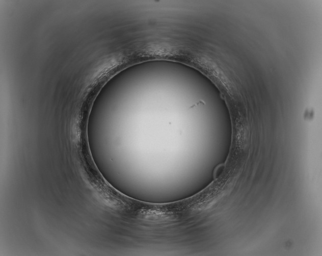 X0000095910635200801111233