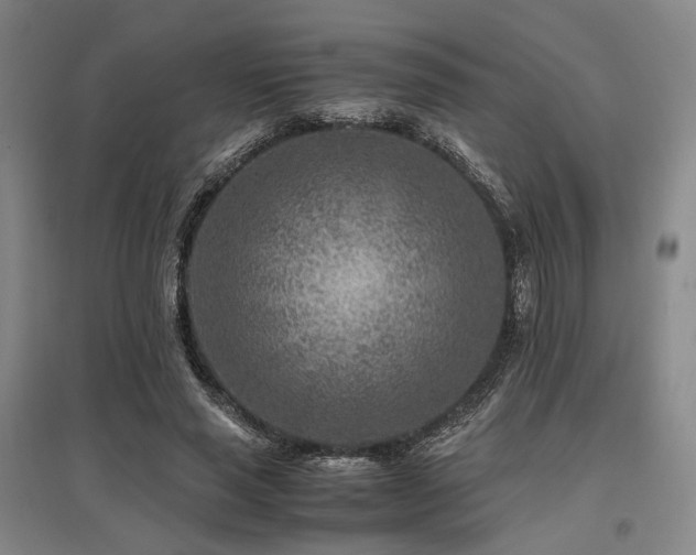 X0000095910637200801111233