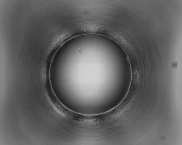 X0000095910638200801111233
