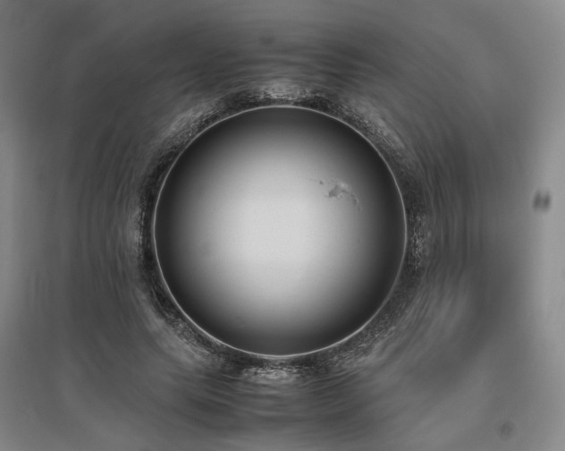 X0000095910639200801111233