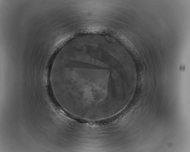 X0000095910640200801111233