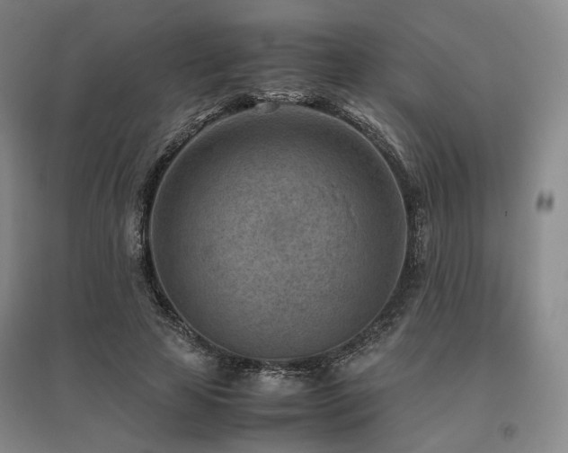 X0000095910641200801111233