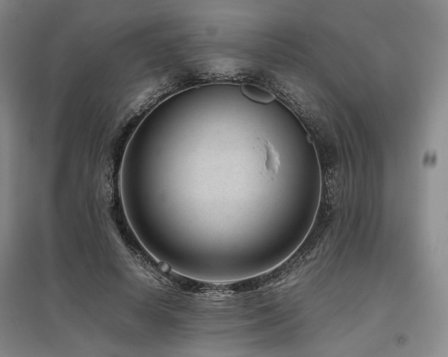 X0000095910642200801111233