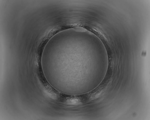 X0000095910643200801111233