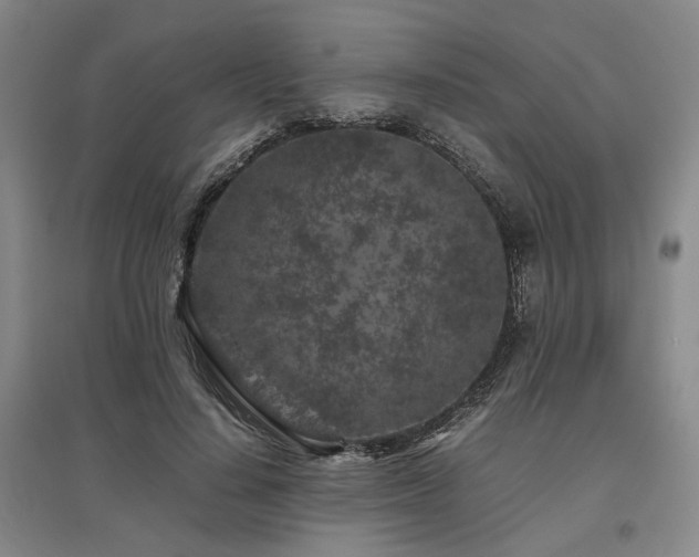 X0000095910644200801111233