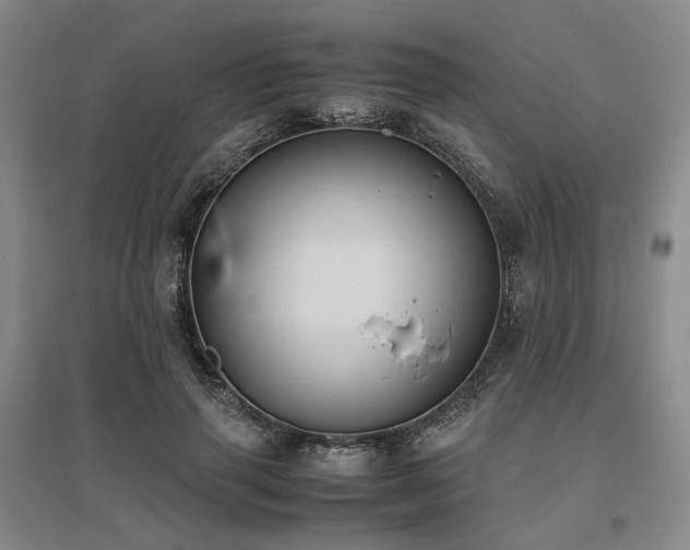 X0000095910645200801111233