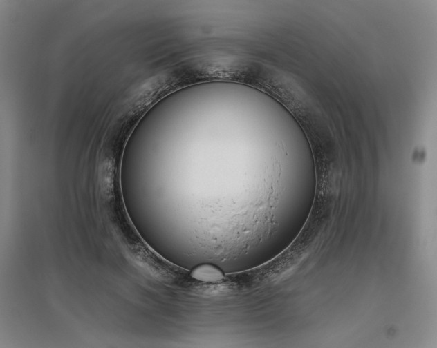 X0000095910646200801111233