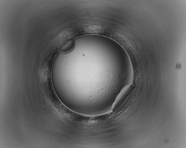 X0000095910647200801111233