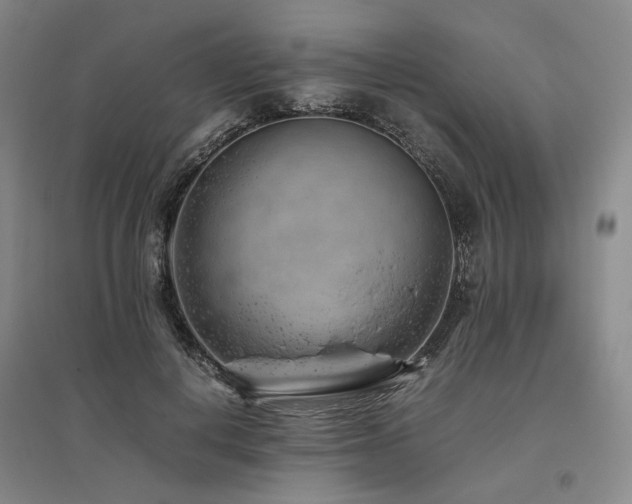 X0000095910648200801111233