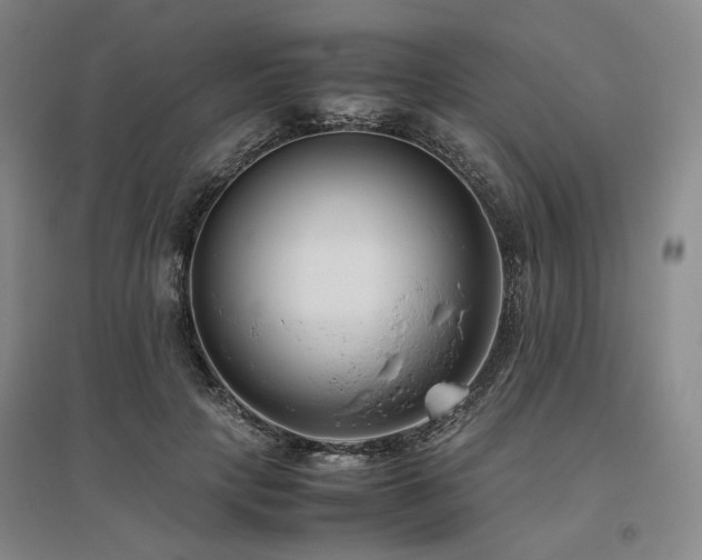 X0000095910649200801111233