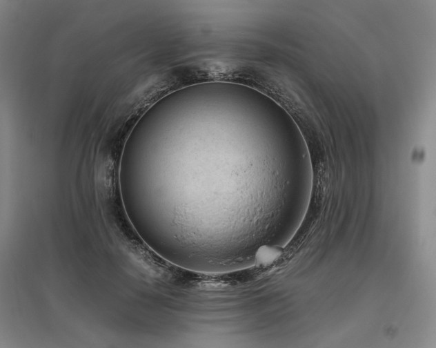 X0000095910650200801111233