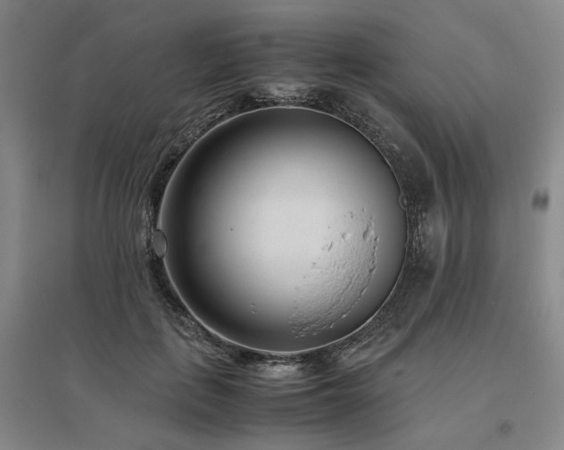 X0000095910651200801111233