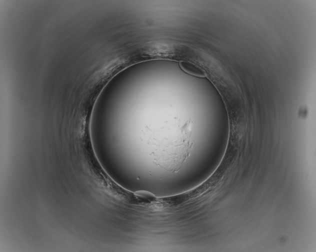 X0000095910652200801111233