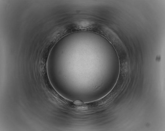 X0000095910653200801111233