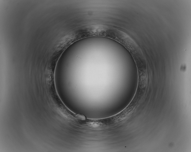 X0000095910654200801111233